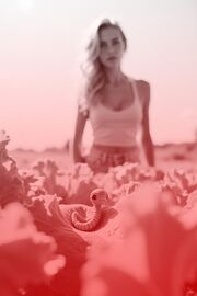 Der Wurm und die Schwerelosigkeit