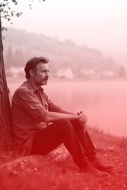 Die Sterne über der Elbe