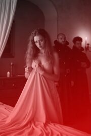 In den Fängen des Fürsten