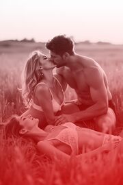 Sommer in den Weiden