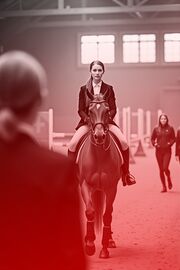 Das Gestüt Goldmühle