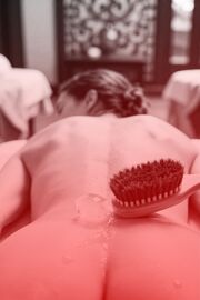 Prolog - Der Geheimtipp